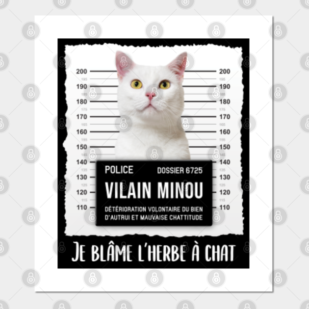 Cadeau Humoristique Pour Proprietaires De Chat Blanc Chat Drole Poster E Stampa Artistica Teepublic It
