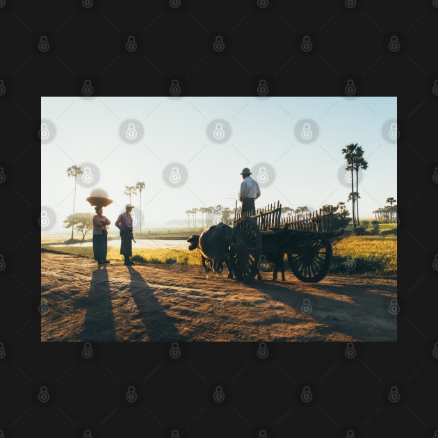 Burmese Farmer on Cart Talking to Two Other Farmers in Early Morning Light by visualspectrum