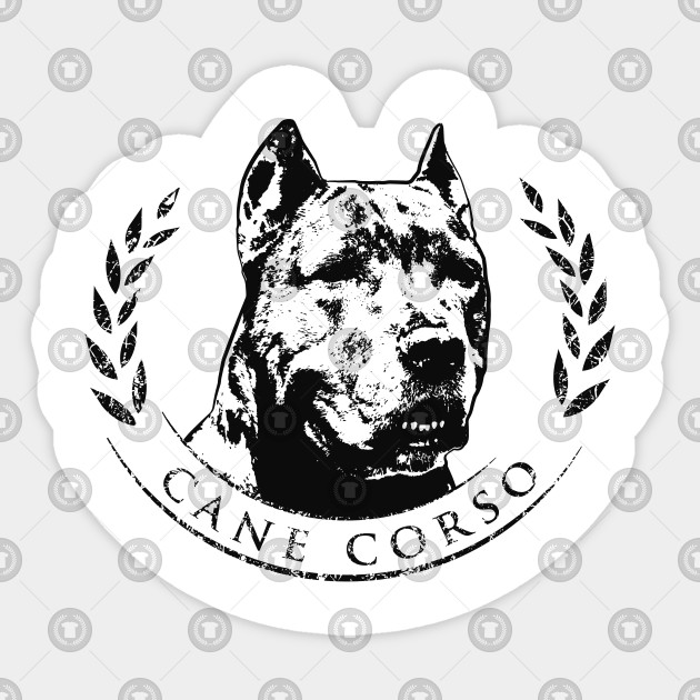 Cane Corso Italian Mastiff