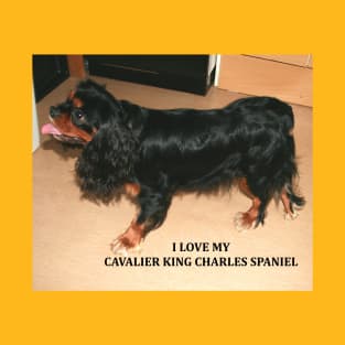 cavalier king charles spaniel black and tan love with picture T-Shirt