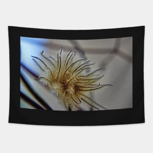 Clematis Seed Head Tapestry