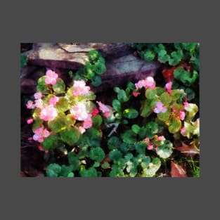 Begonias By Stone Wall T-Shirt