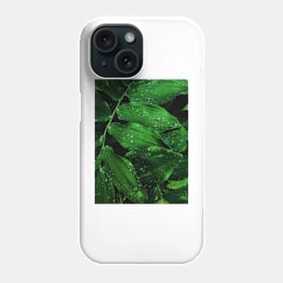 Nature's Jewels Phone Case