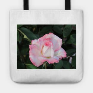 Light Pink Rose Tote