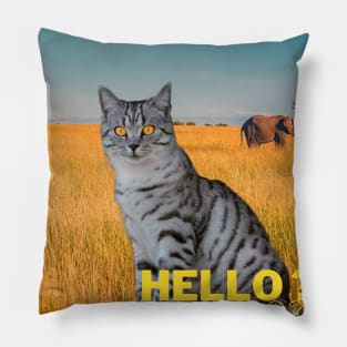 Sometimes I am alone, sometimes I am not, Hello? Pillow