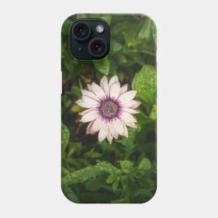 autumn aster Phone Case