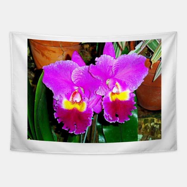 Orchid Study 2 Tapestry by bobmeyers