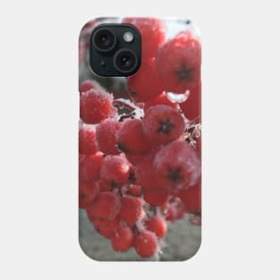 Mountain Ash Berries a Cold  and Frosty November Morning Phone Case