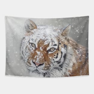 Winter Tiger Portrait Tapestry