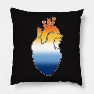 Aroace Pride Heart Pillow