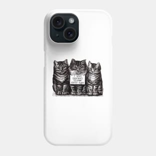 I Was Normal Three Cats Ago Phone Case