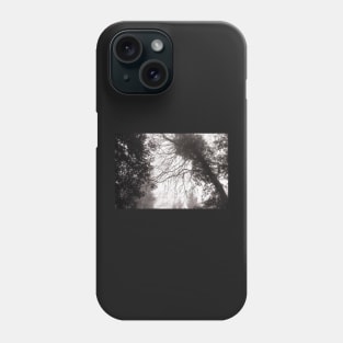 Foggy Tree skeleton with Ivy Phone Case