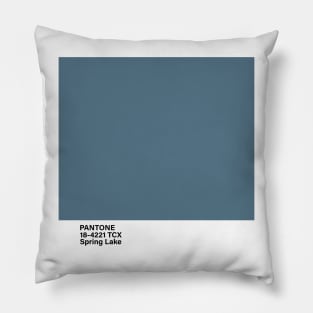 pantone 18-4221 TCX Spring Lake Pillow