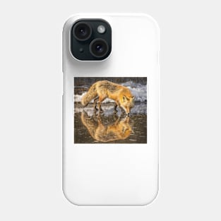 Red Fox in Water Phone Case