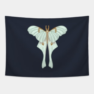 Hand drawn Luna moth Tapestry