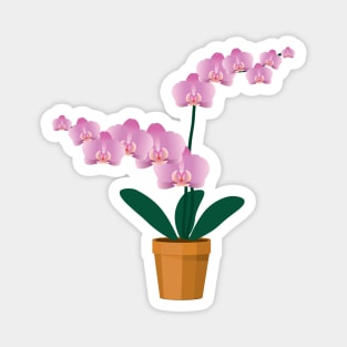 A pink Orchid Magnet