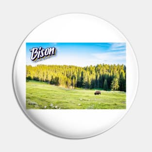 Bison at Yellowstone Pin