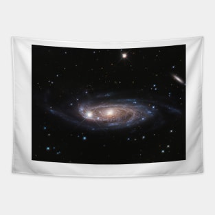 Spiral galaxy, Hubble image (C051/0929) Tapestry