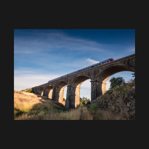 Malmsbury Viaduct by LukeDavidPhoto