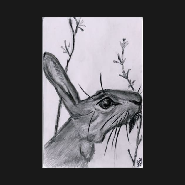 Jack Rabbit by YollieBeeArt