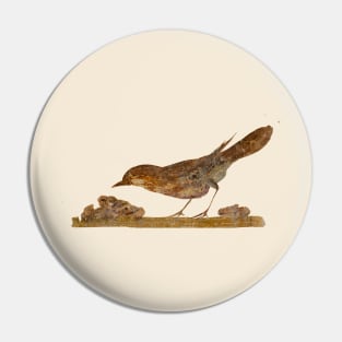 Oplontis Song Thrush Pin