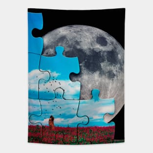 A Simple Puzzle Tapestry