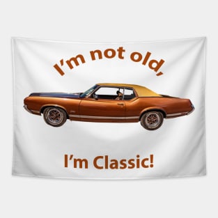 1970 Oldsmobile Cutlass Tapestry