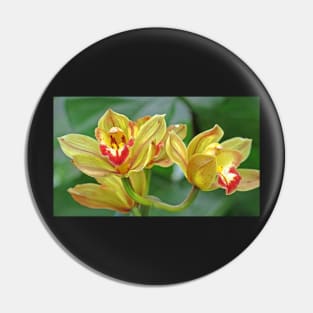 The Orchid Pin