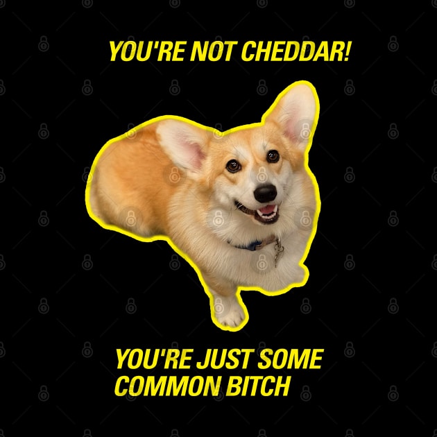 Cheddar  |  Brooklyn 99 by cats_foods_tvshows