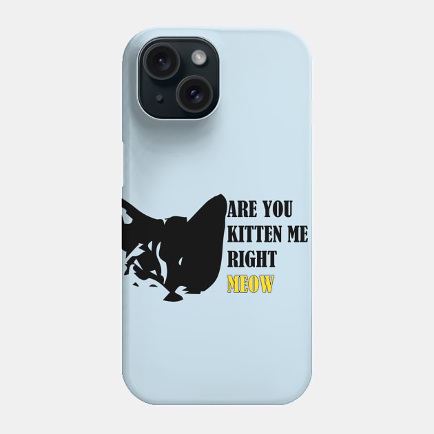 Are You Kitten Me Right Meow Phone Case by Mathew Graphic