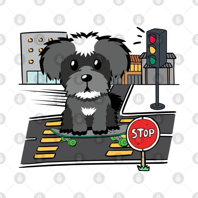 Funny schnauzer is on a skateboard by Pet Station