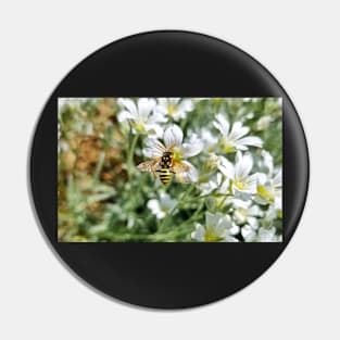 Bee Sitting on White Field Flowers Pin