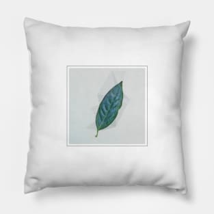 Real Floral Plant Leaf 4 Pillow