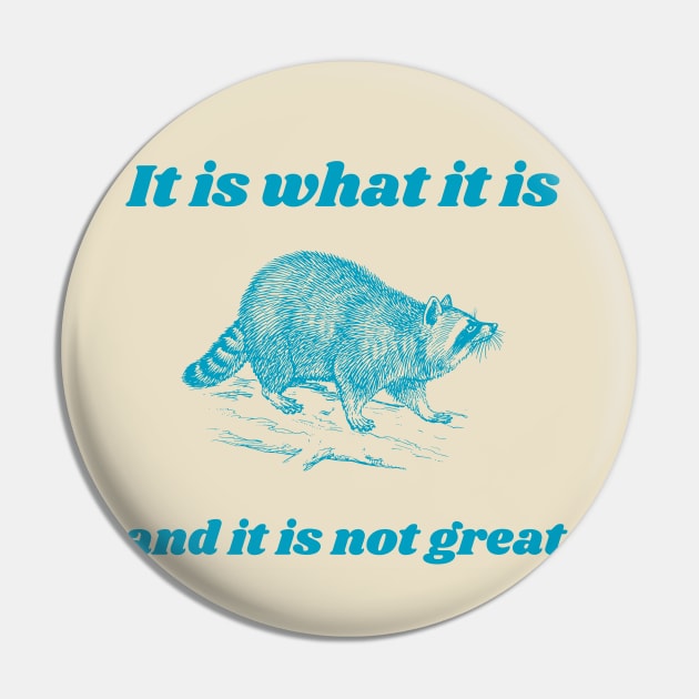It Is What It Is And It Is Not Great Funny Raccoon Pin by KC Crafts & Creations