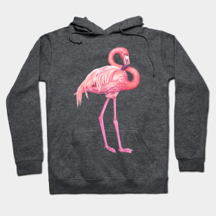 Flamingo Merch Hoodies Teepublic
