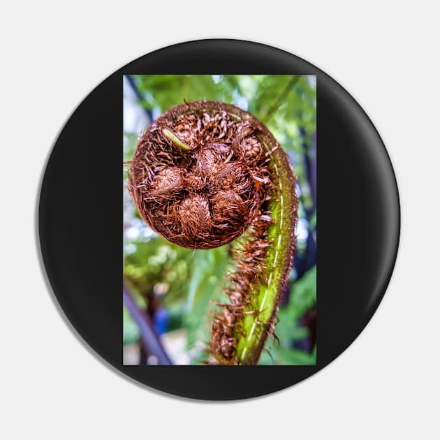 Unfurling Fern Frond Pin by stuartchard