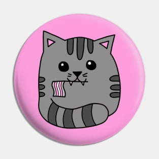 demigirl pride flag cat Pin