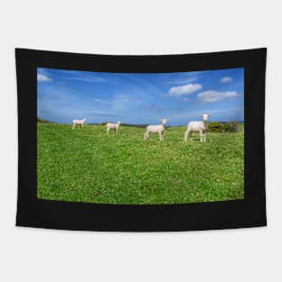 4 Shorn Sheep Tapestry