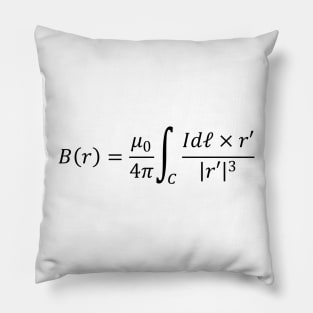 Biot Savart Equation - Useful Formula For Calculating The Magnetic Field Pillow