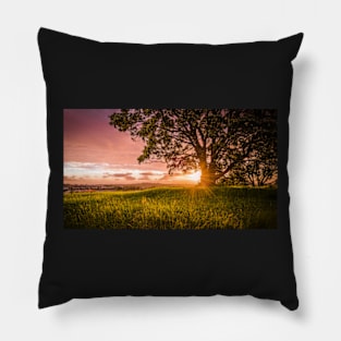 Sunburst Pillow