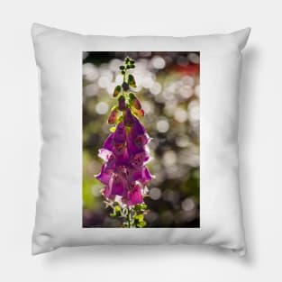 Foxglove Pillow