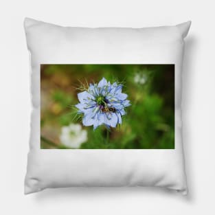 Blue Cornflower Pillow