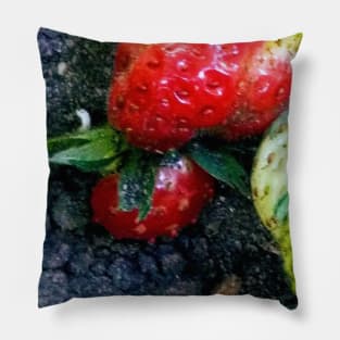 Strawberry Pillow