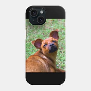 cute puppy Phone Case