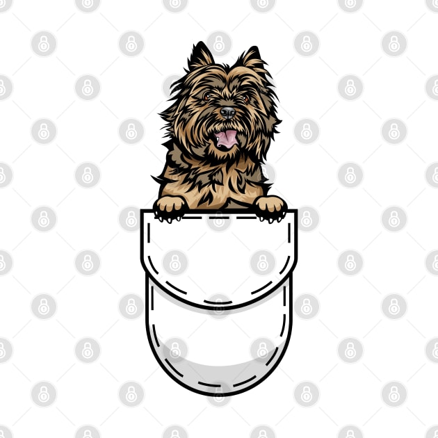 Funny Cairn Terrier Pocket Dog by Pet My Dog