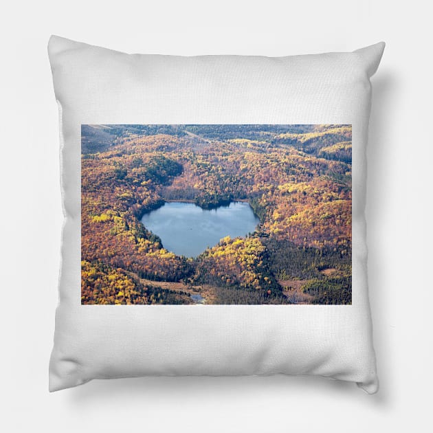 Heart Lake Pillow by Eunice1