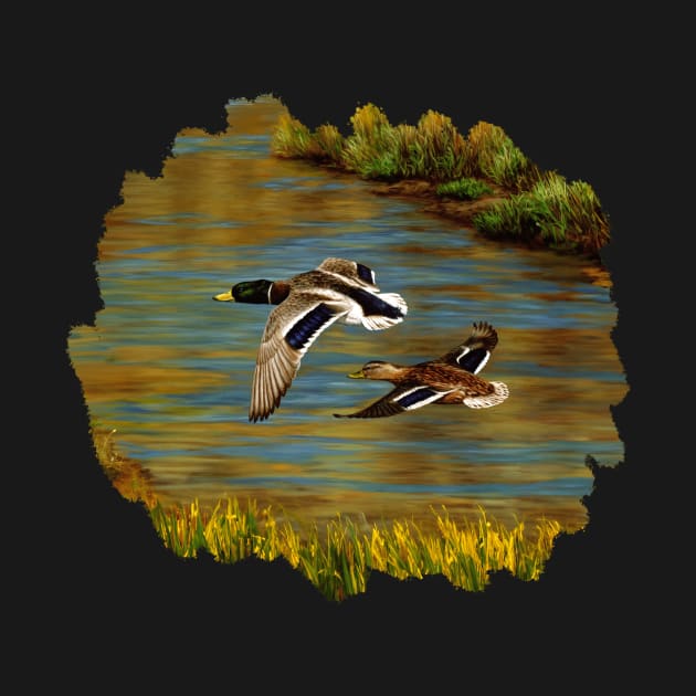 Mallard Ducks Flying Over Water in Wetlands by csforest