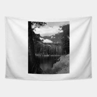 Ten Lakes Basin - Yosemite N.P. Tapestry