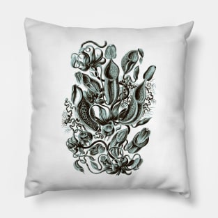 Ernst Haeckel Pitcher Plant  Teal Pillow