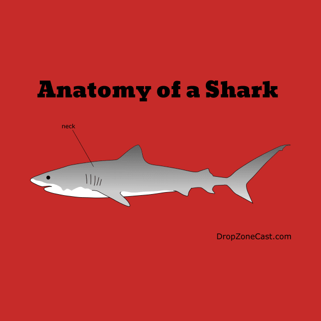 Anatomy of a Shark by dege13